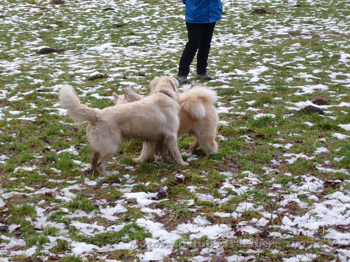 Wandertag 2015 - 011.jpg